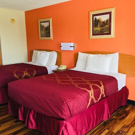 Bear Mount Inn & Suites Пиджен-Фордж Номер фото